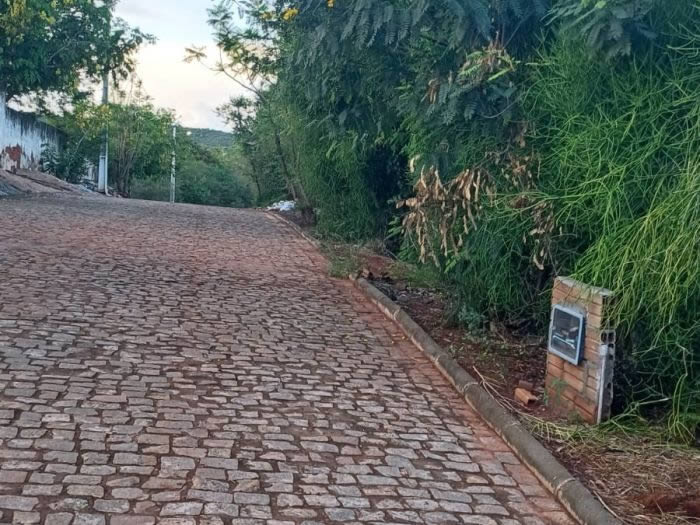 gallery-1